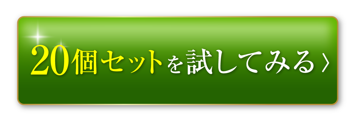 20個セットを試してみる