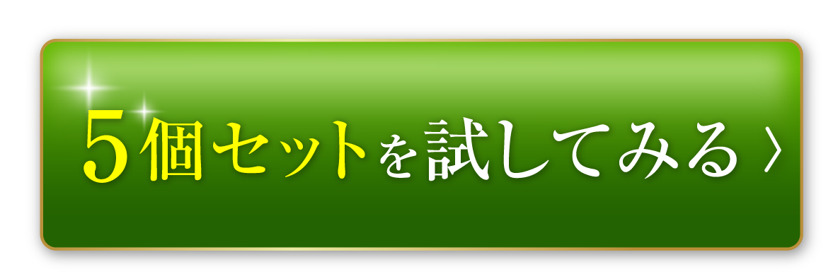 5個セットを試してみる