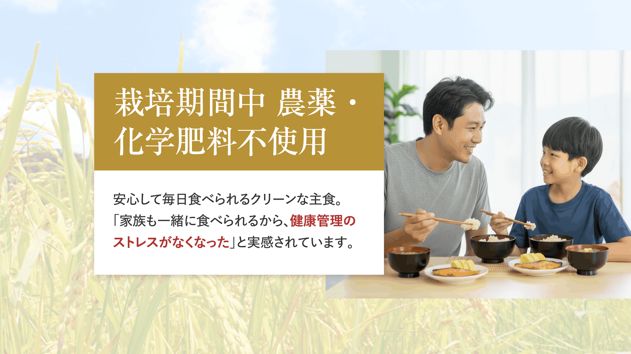 栽培期間中農薬・科学肥料不使用
