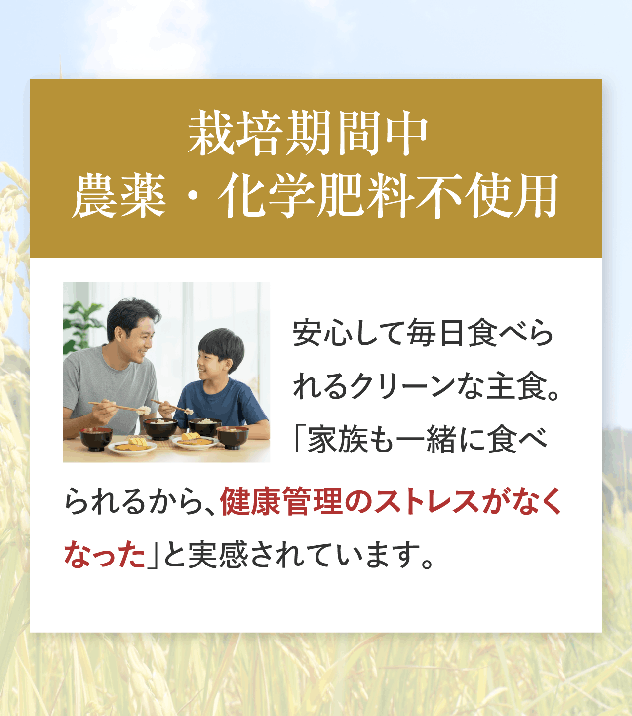栽培期間中農薬・科学肥料不使用